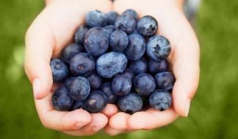 Manfaat Konsumsi Blueberry