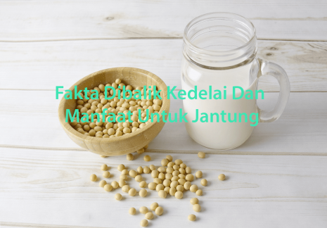 Fakta Kedelai